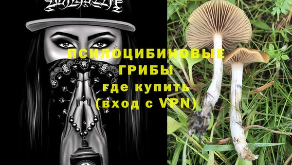 кокаин колумбия Абаза