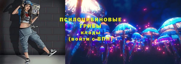 синтетический гашиш Ладушкин