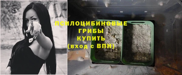 герыч Абинск