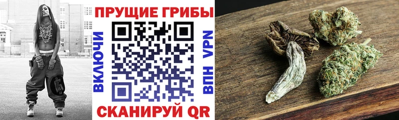 hydra онион  Саратов  Галлюциногенные грибы Psilocybine cubensis  продажа наркотиков 