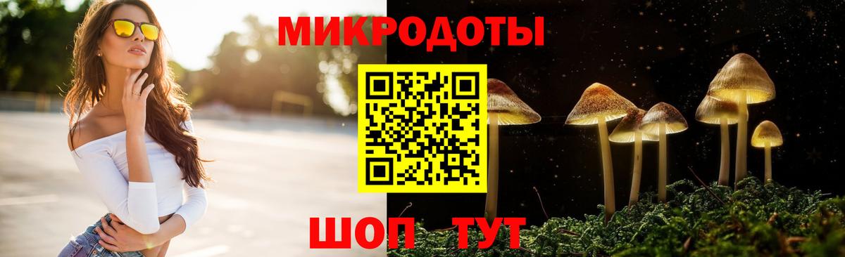 Галлюциногенные грибы Psilocybe Саратов