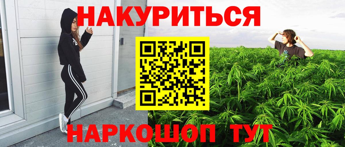 Бошки Шишки план Саратов